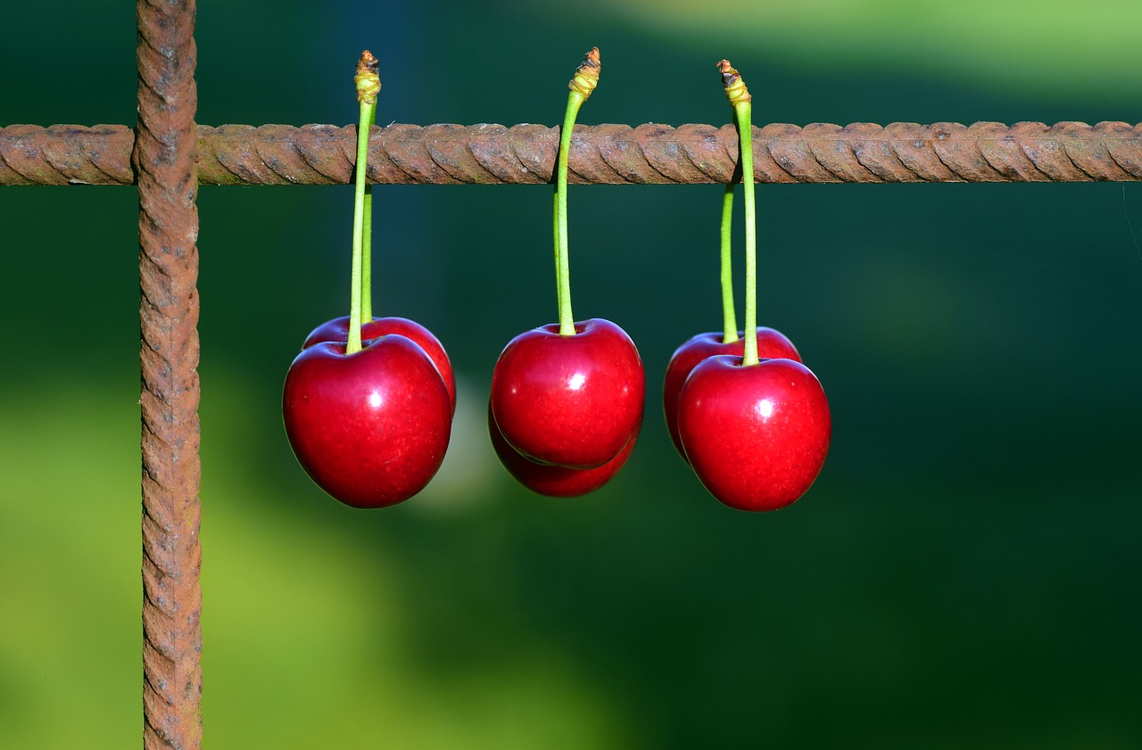 Image - cherries fruits fruit red