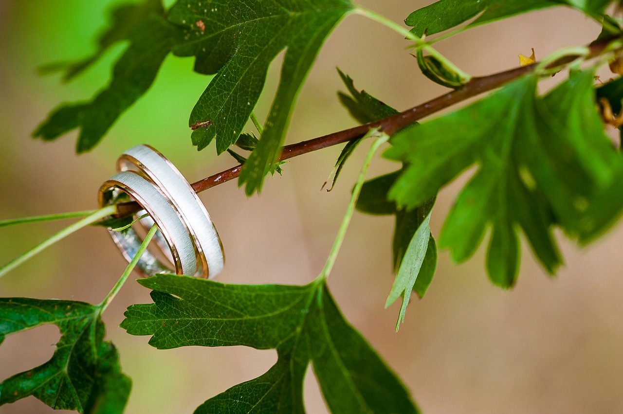 Image - wedding rings tree leaves