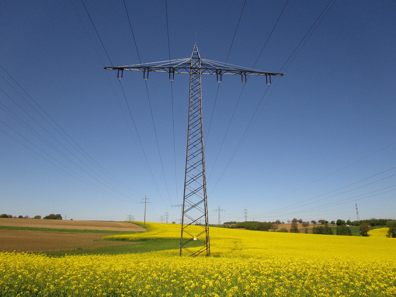 Image - oilseed rape current strommast