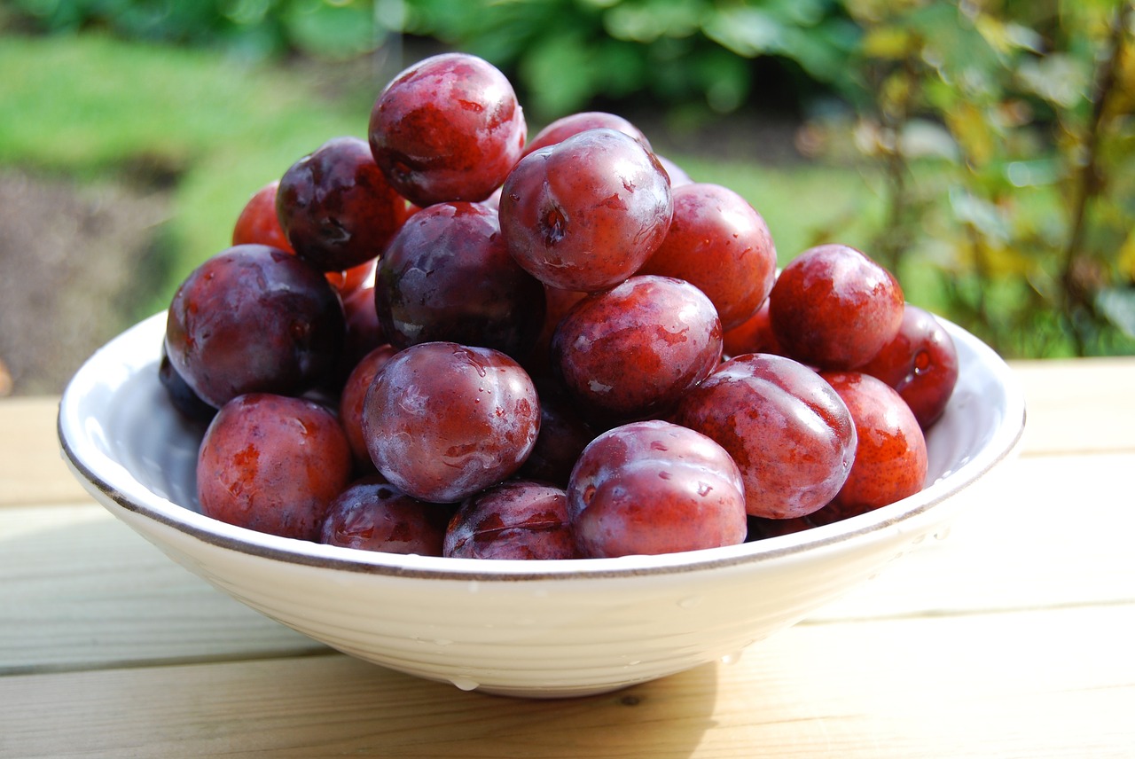 Image - plum bowl food sweet fruit ripe