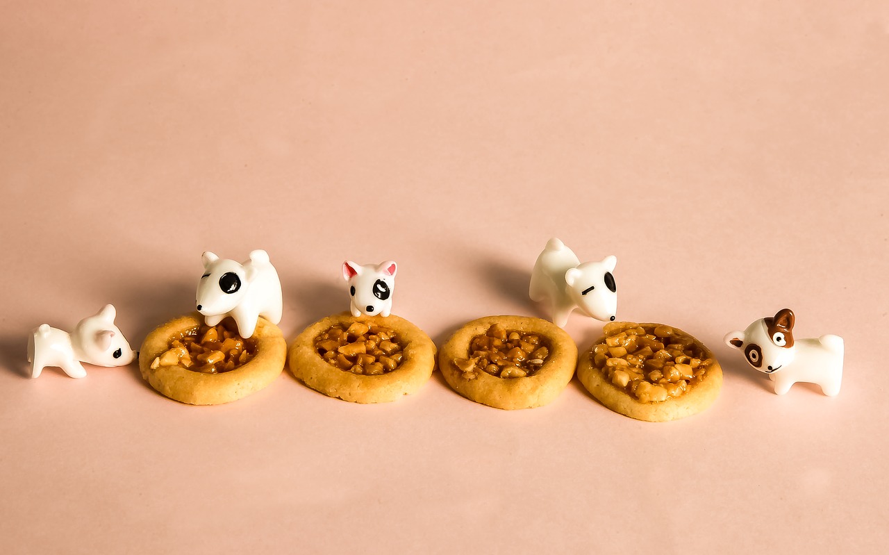 Image - moe the puppy eat biscuit