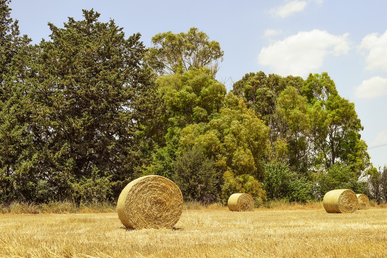 Image - hay bales field straw agriculture