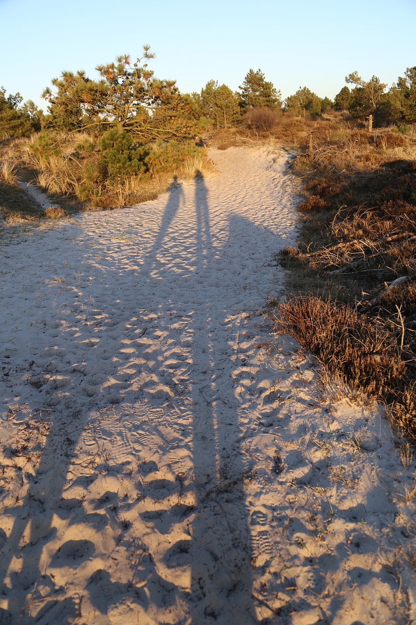 Image - dunes sunset people shadow travel