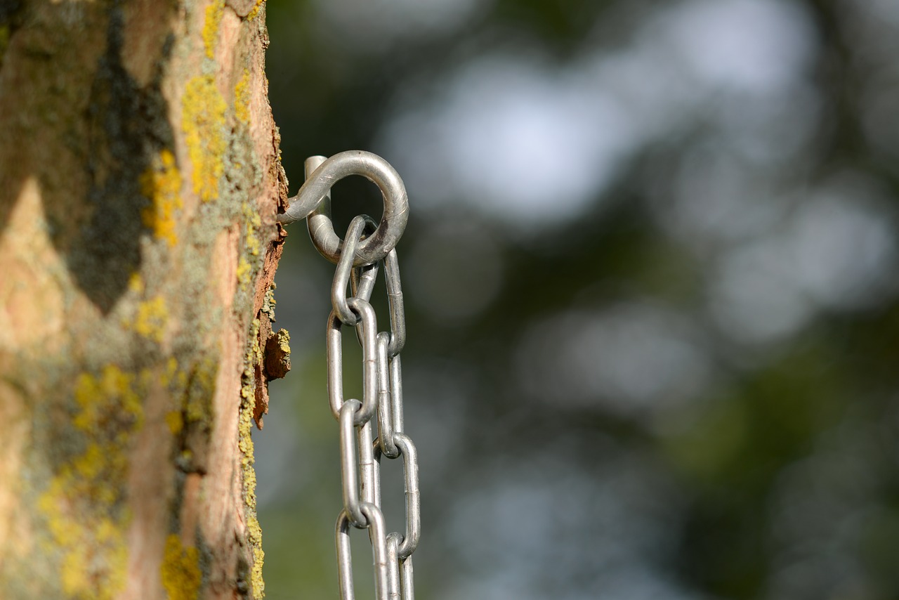 Image - chain eye tree bokeh safety ring