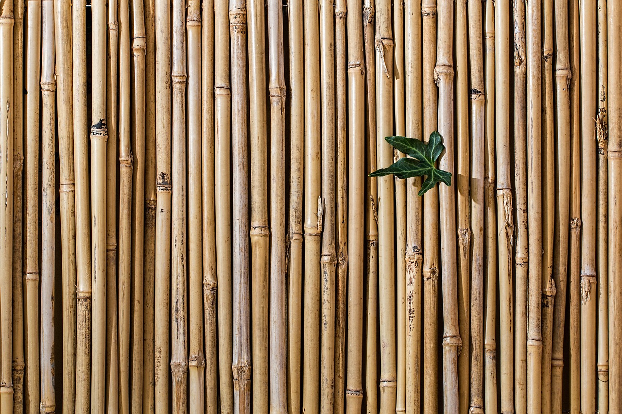 Image - bamboo barrier screen fence