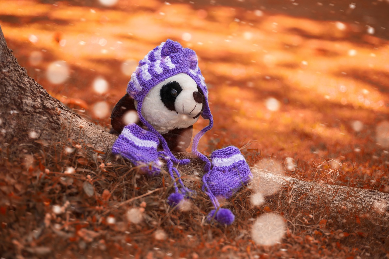 Image - teddybear teddy photo