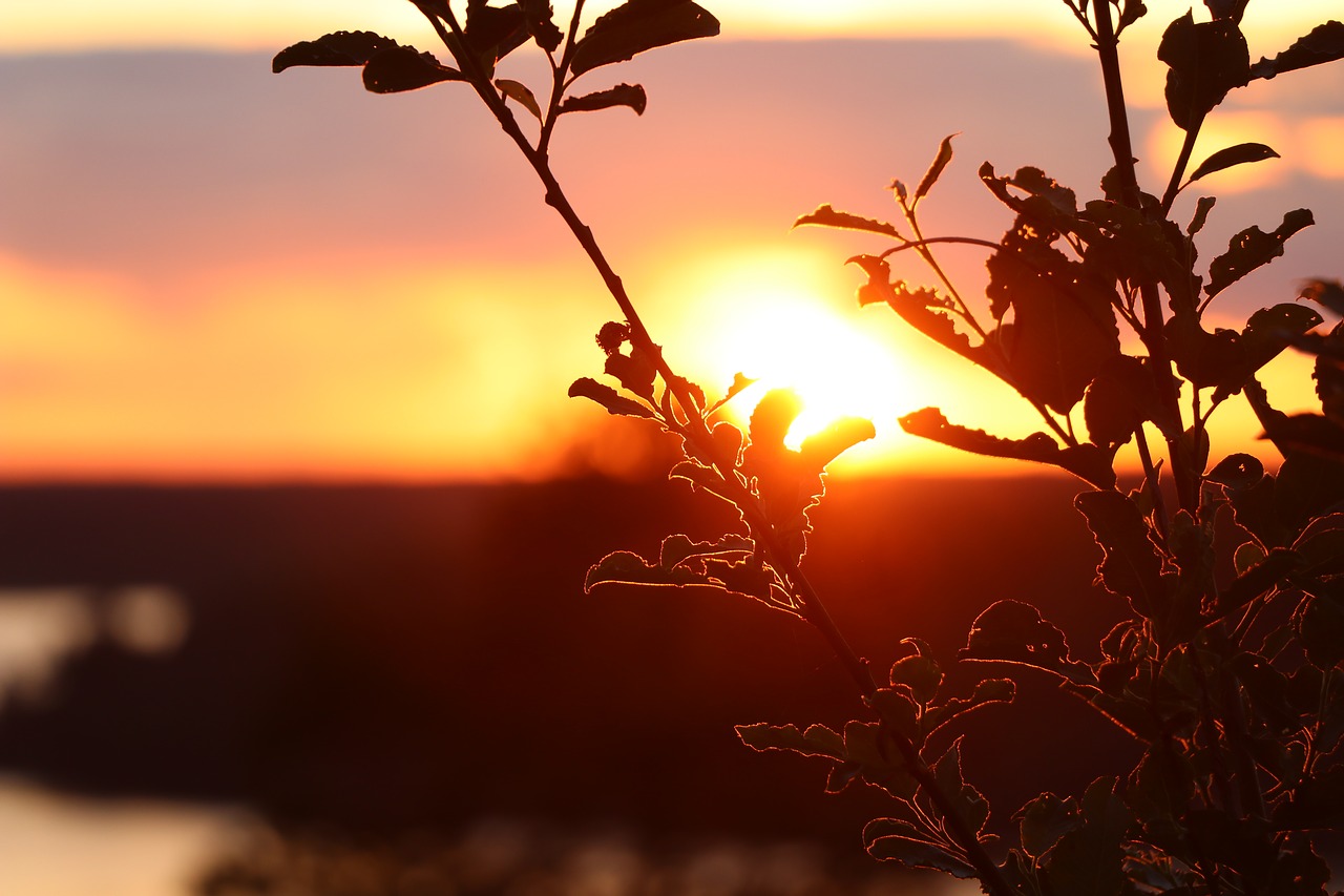 Image - sunset landscape clouds nature sky