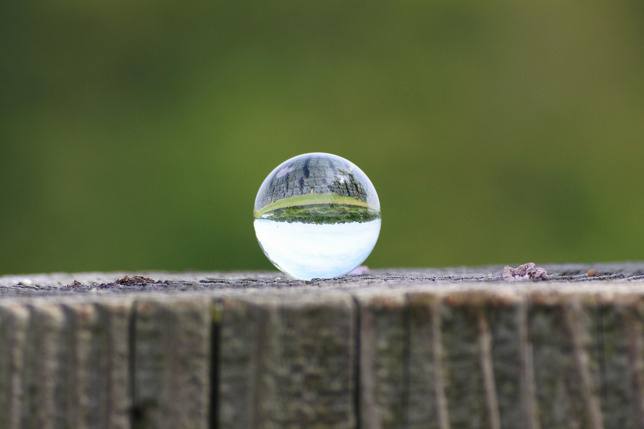 Image - natural landscape wood glass