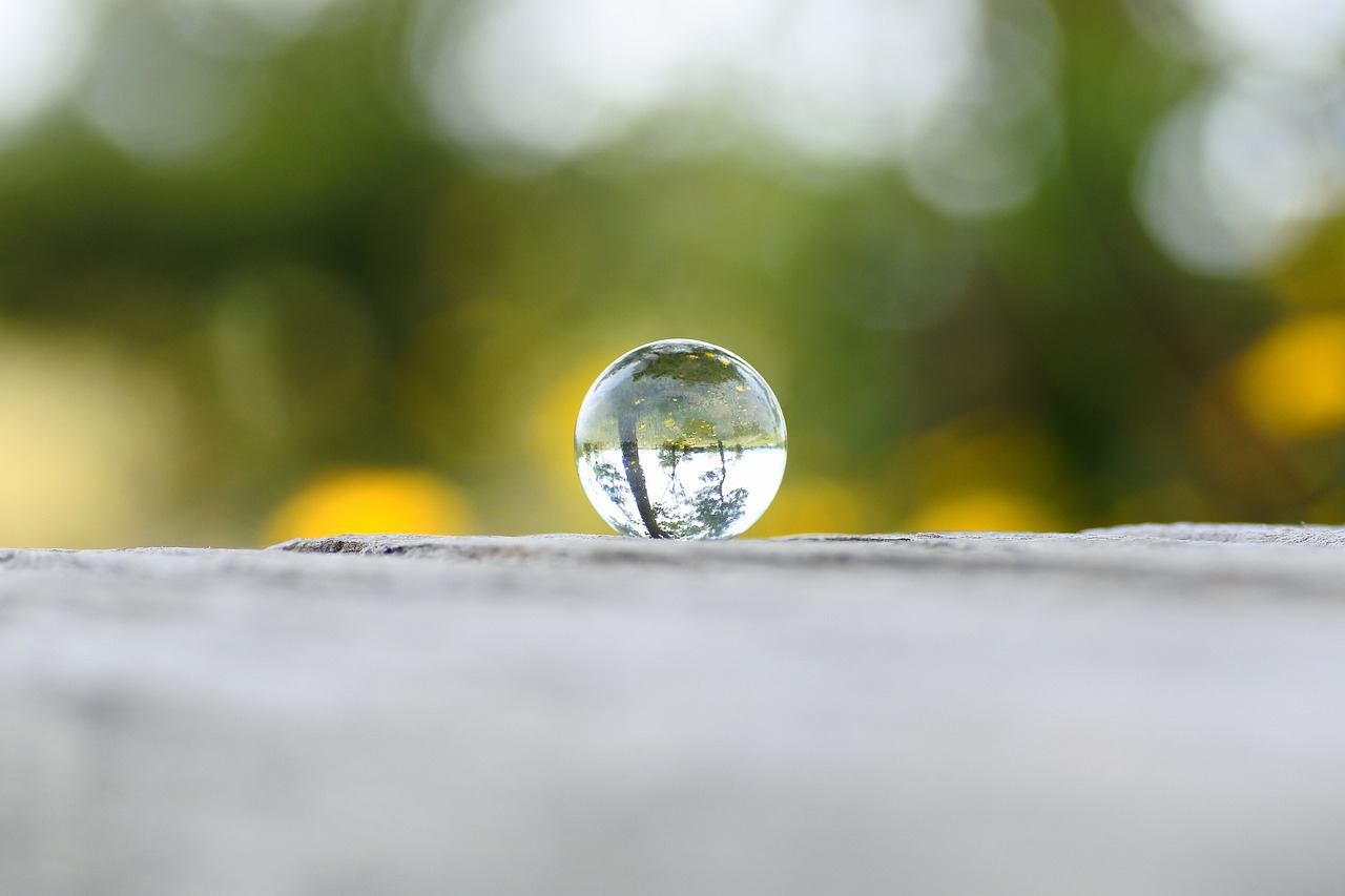 Image - natural landscape wood glass