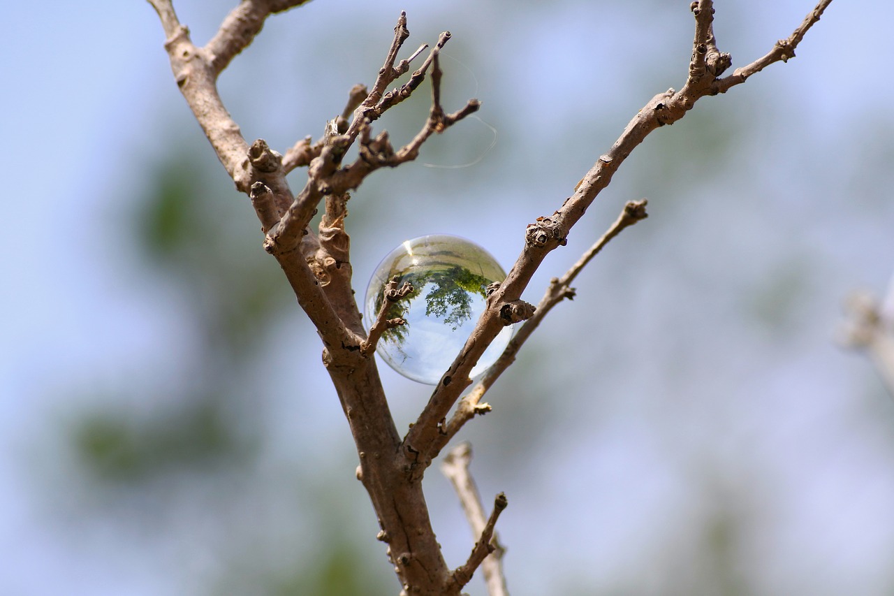 Image - natural landscape wood glass