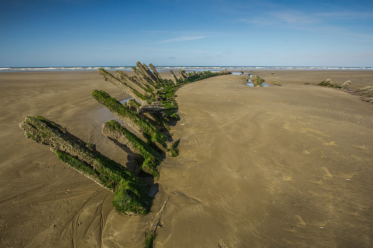 Image - beach ocean wreck ship water