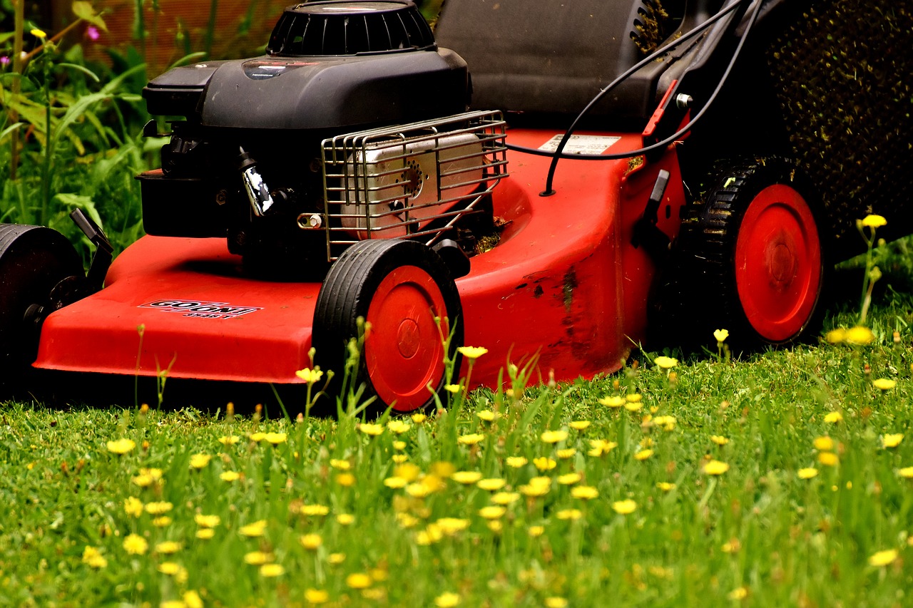 Image - lawn mower mow lawn mowing green