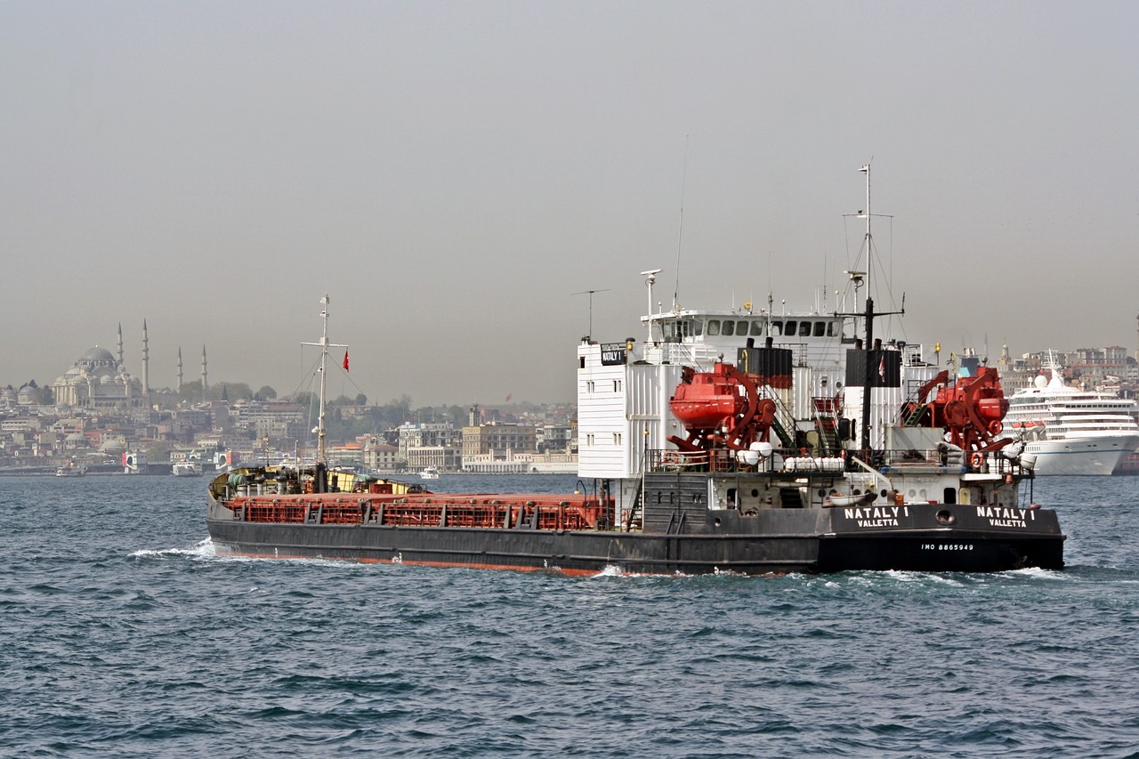 Image - istanbul bosphorus turkey port