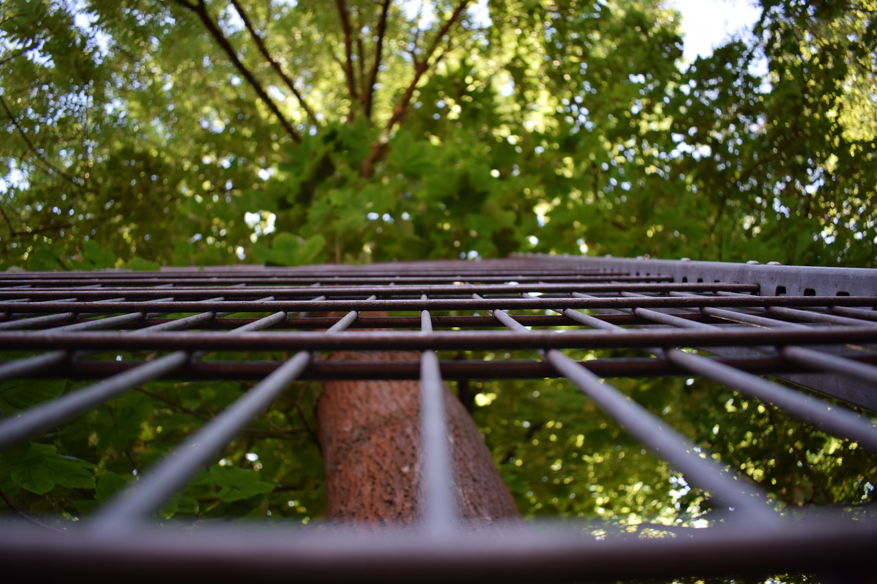 Image - grid nature fence forest trees