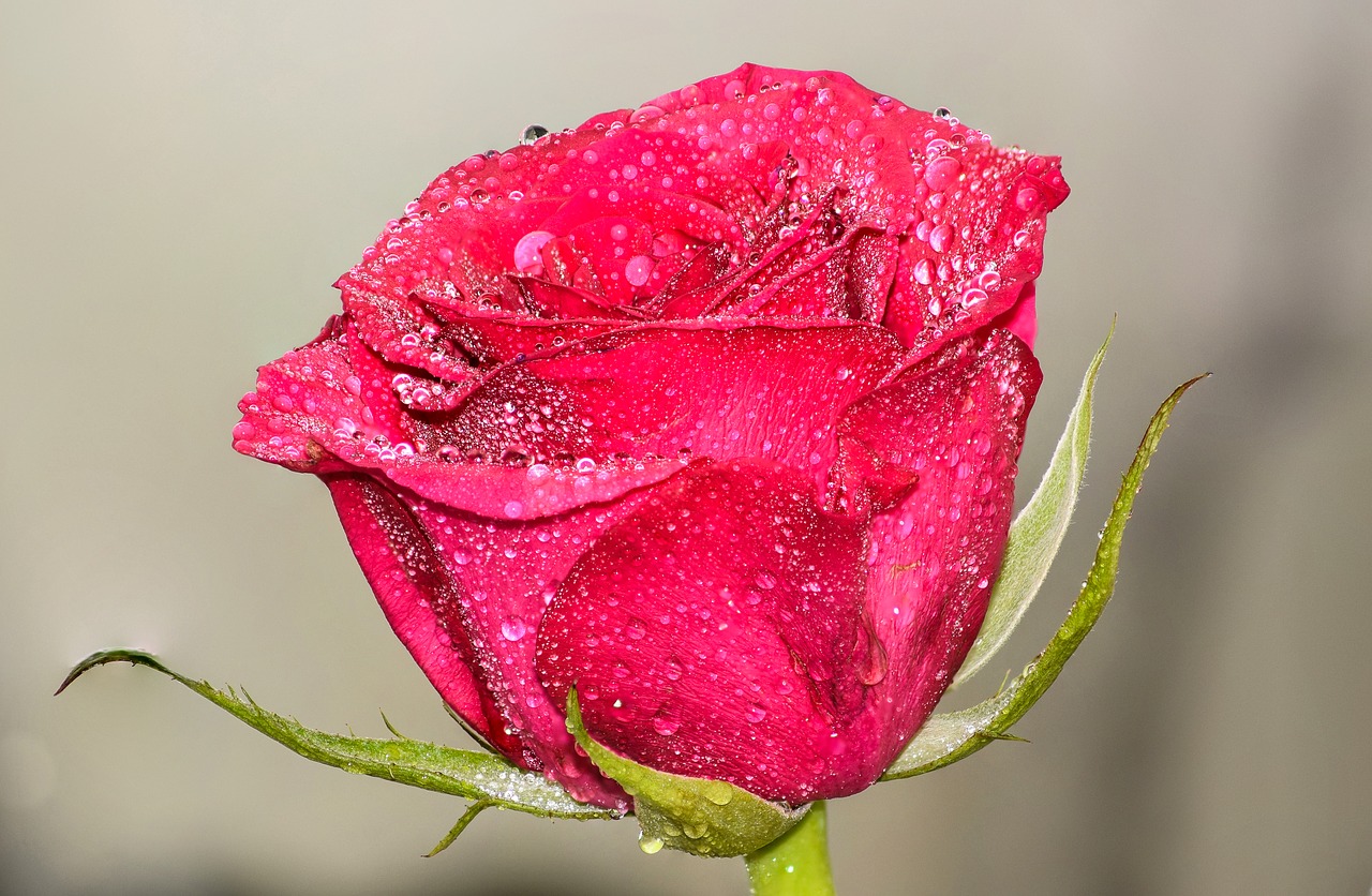 Image - after rain art artistic background