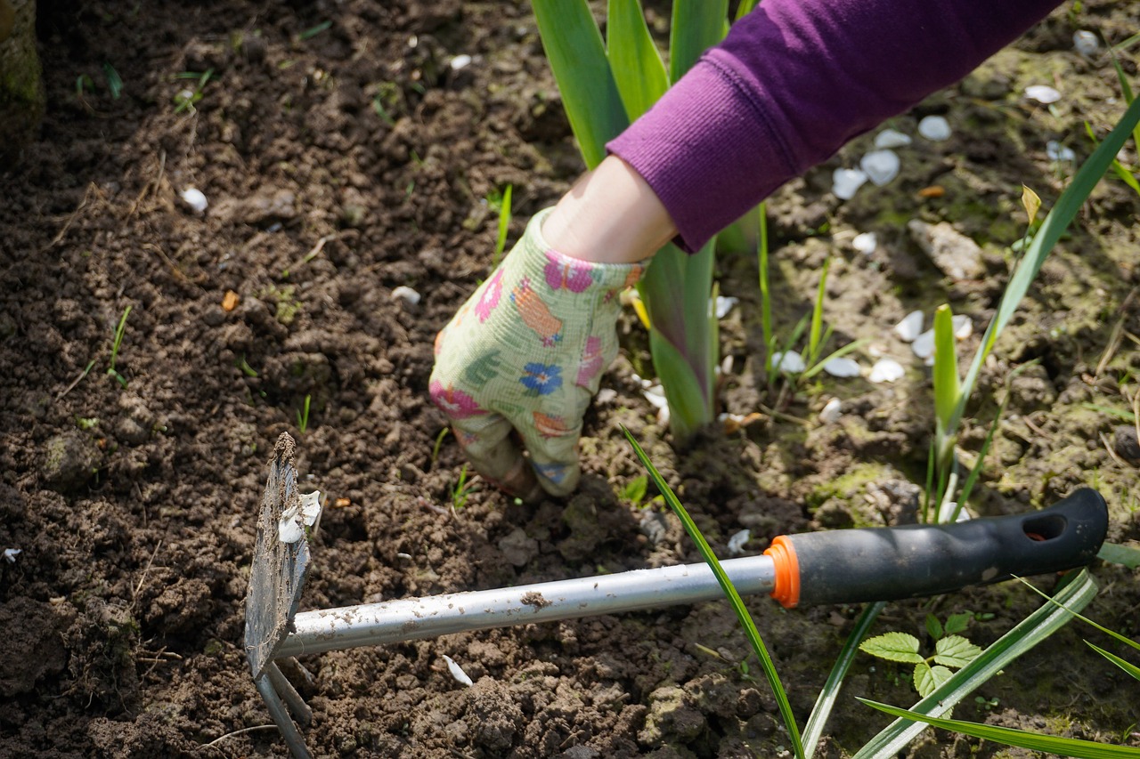 Image - work in the garden garden digging