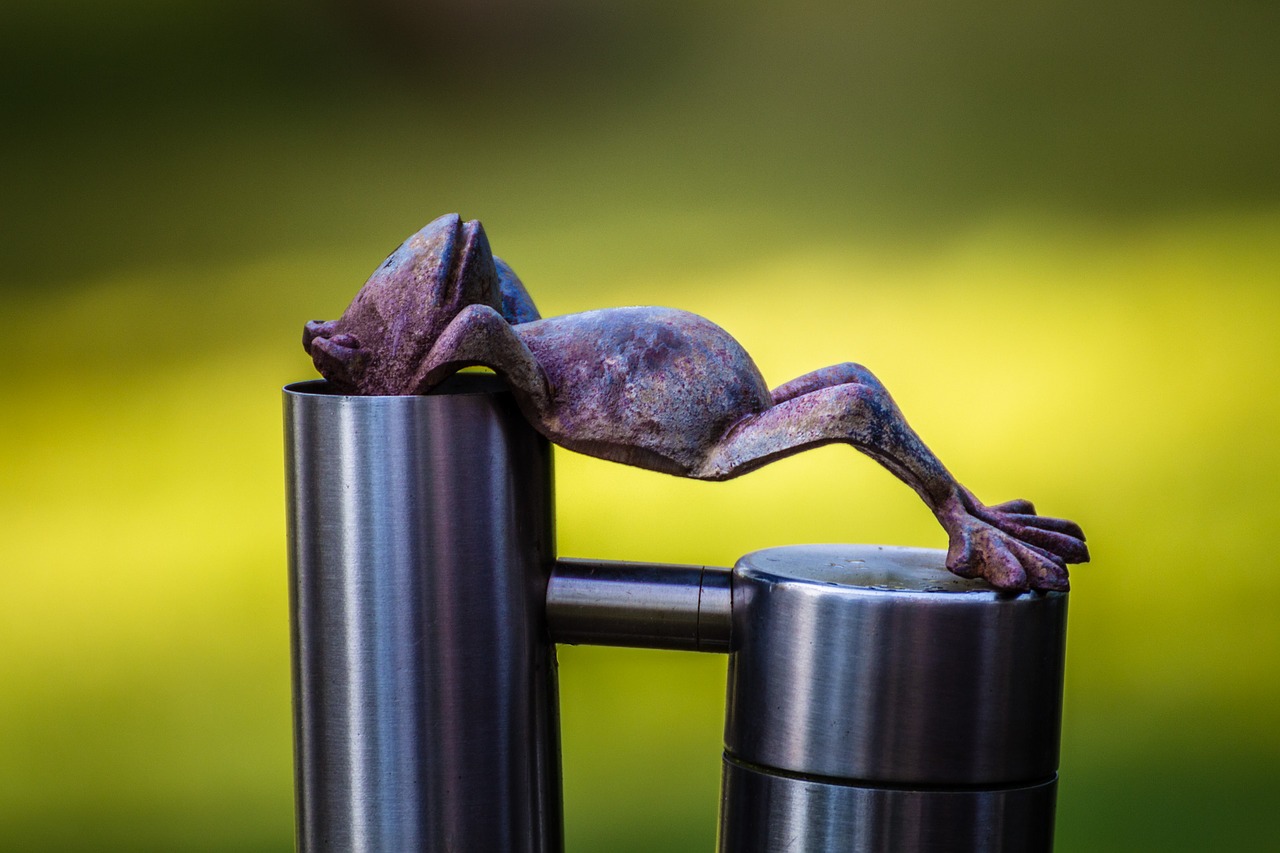 Image - frog relax rest concerns relaxed