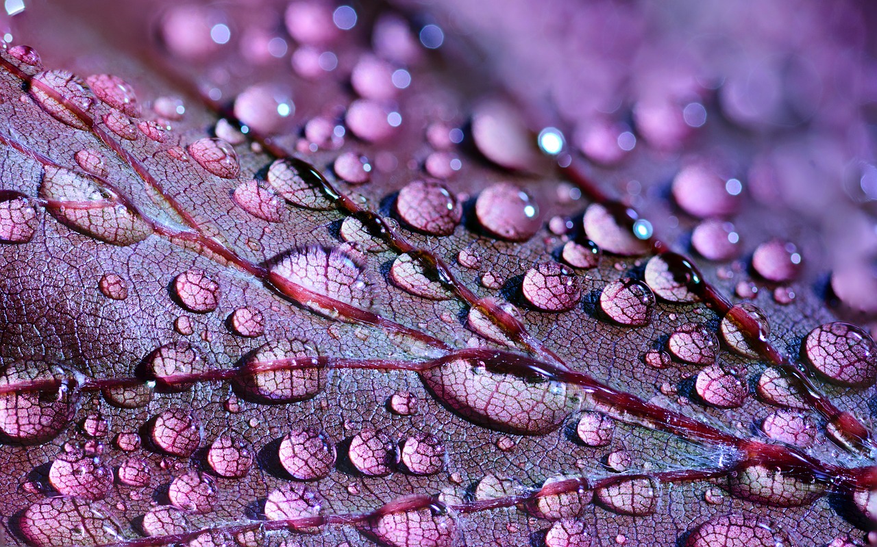 Image - abstract art artistic arty autumn