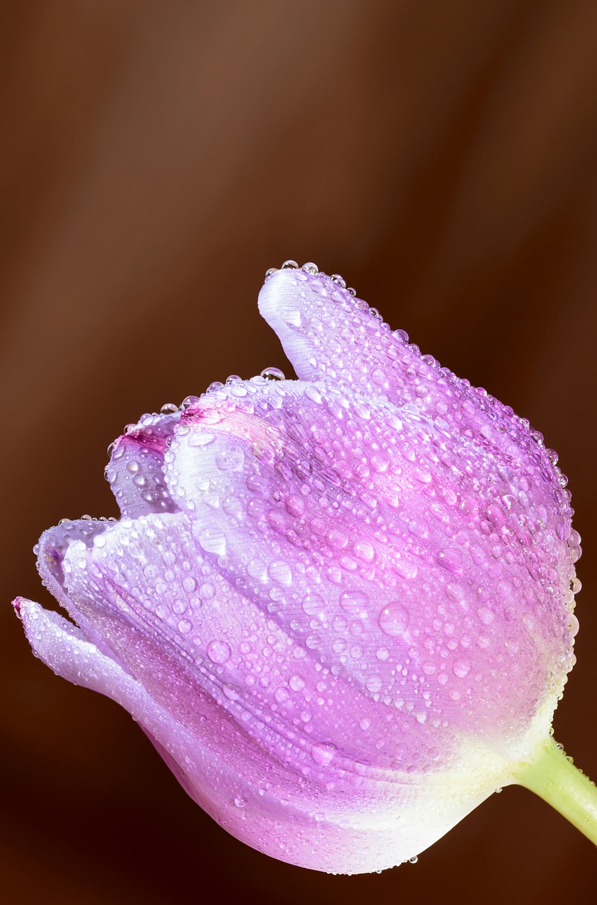 Image - art artistic arty background