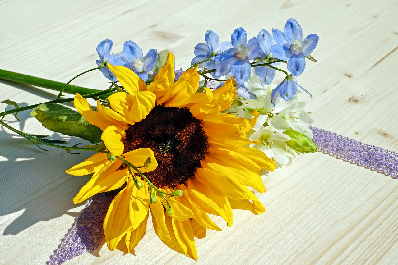 Image - sun flower flower blossom bloom