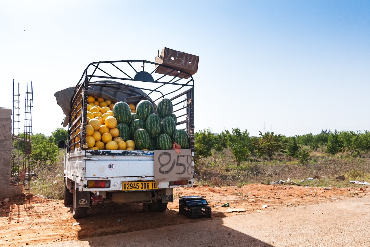 Image - road tipaza algeria africa