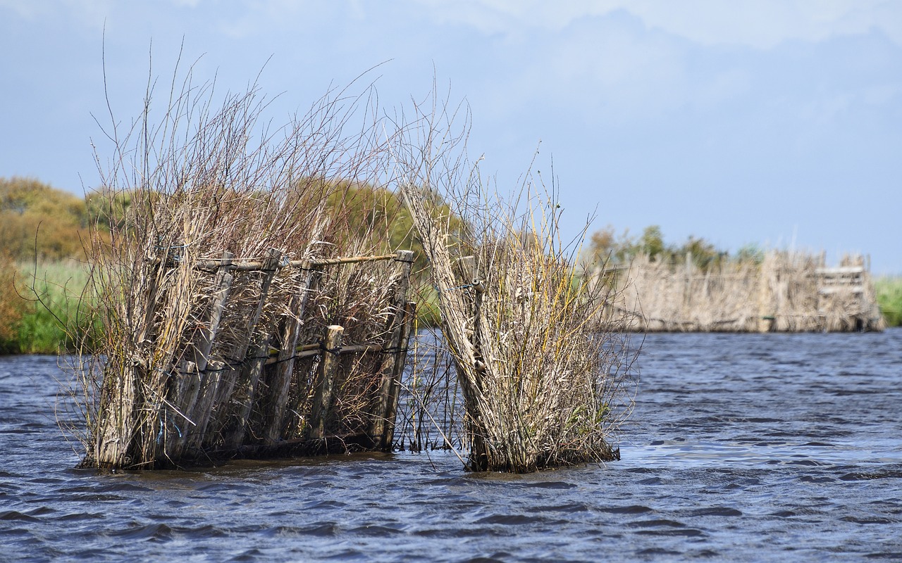 Image - lookout marsh brière