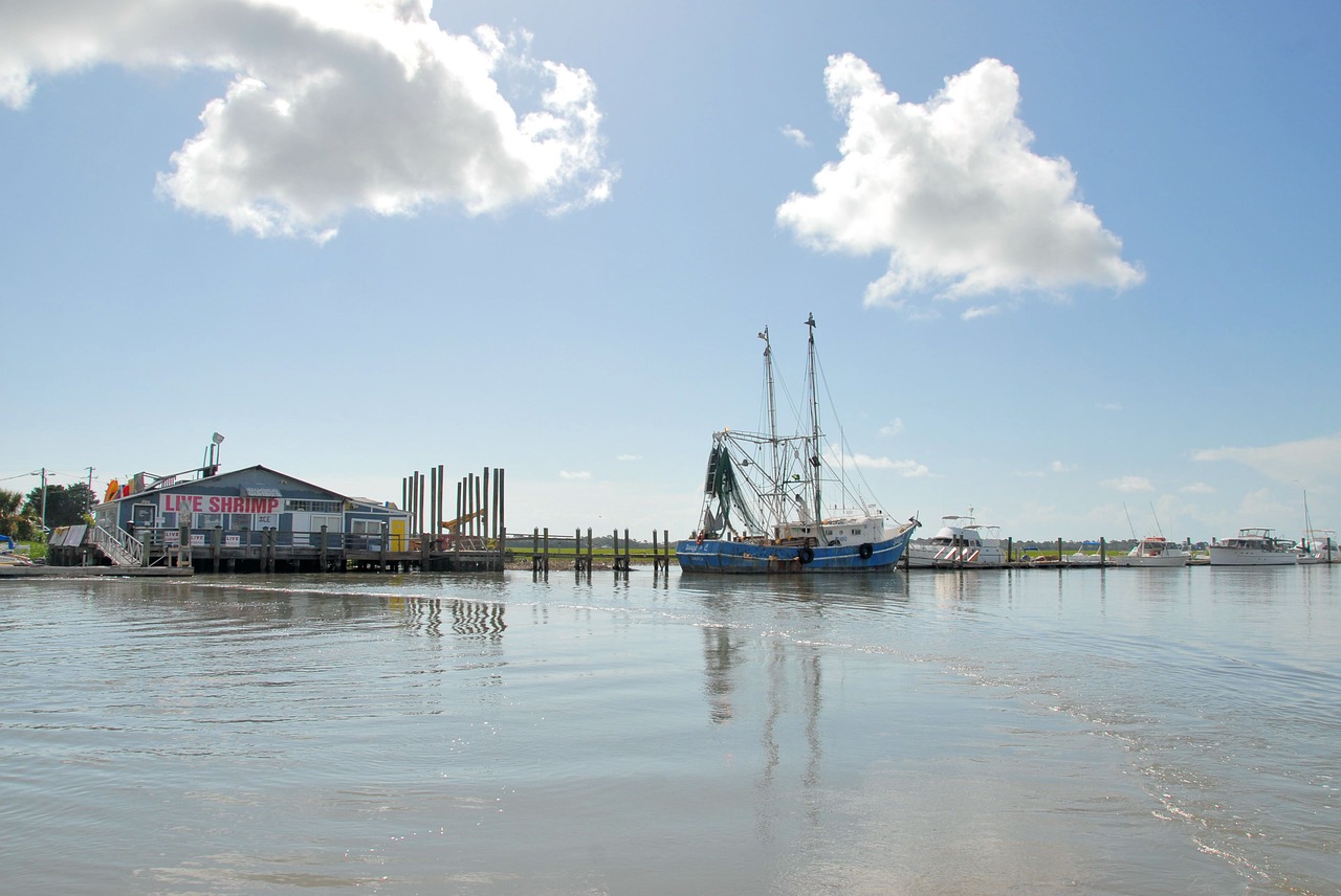 Image - shrimp boat netter nets