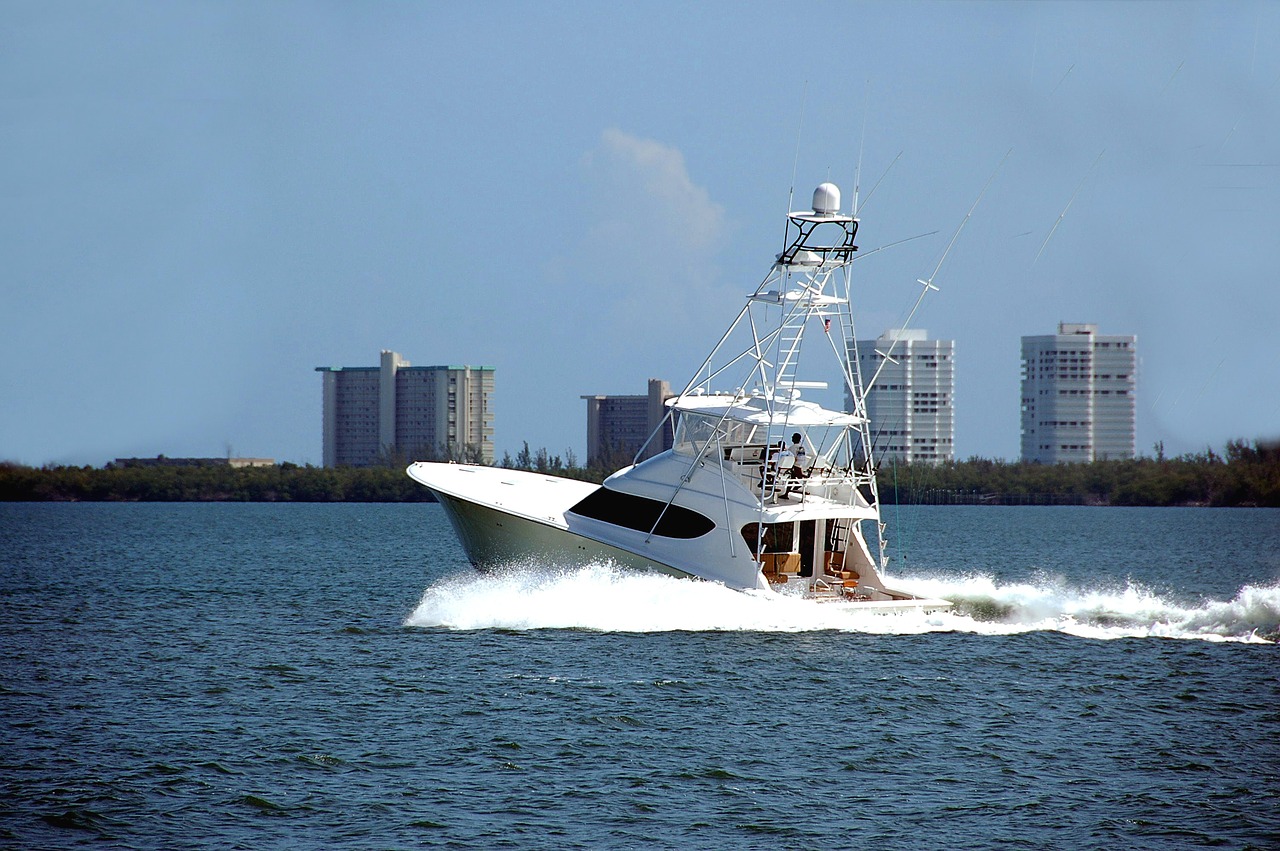 Image - charter fishing game fishing sport
