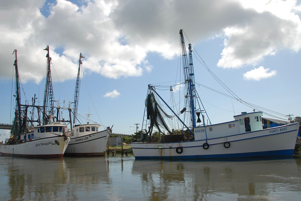 Image - shrimp boat netter nets