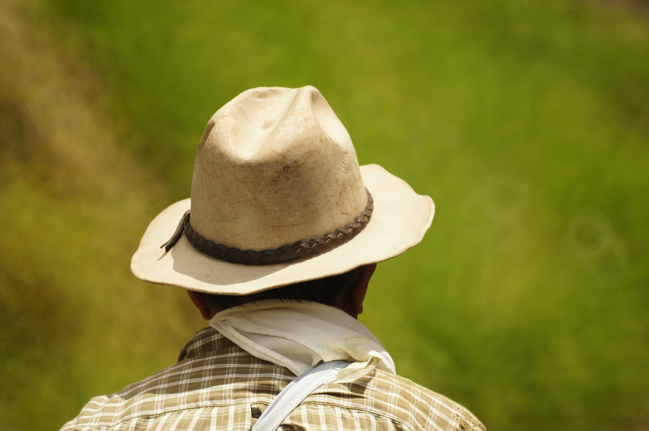 Image - characters of the field in