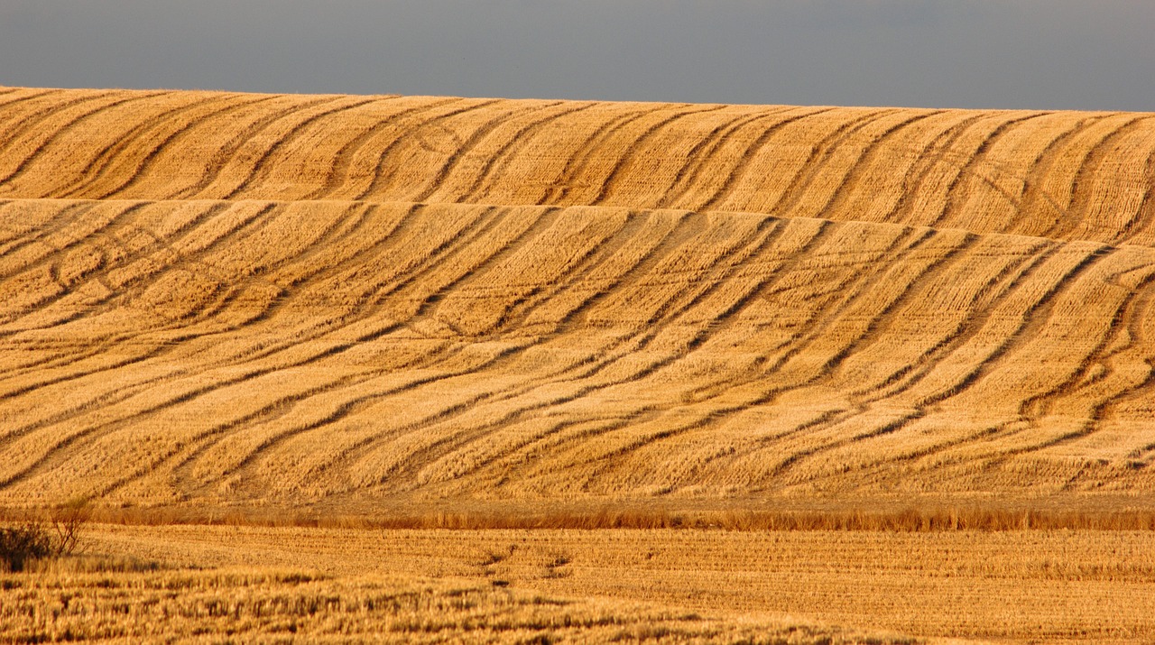 Image - field straw rustic agriculture