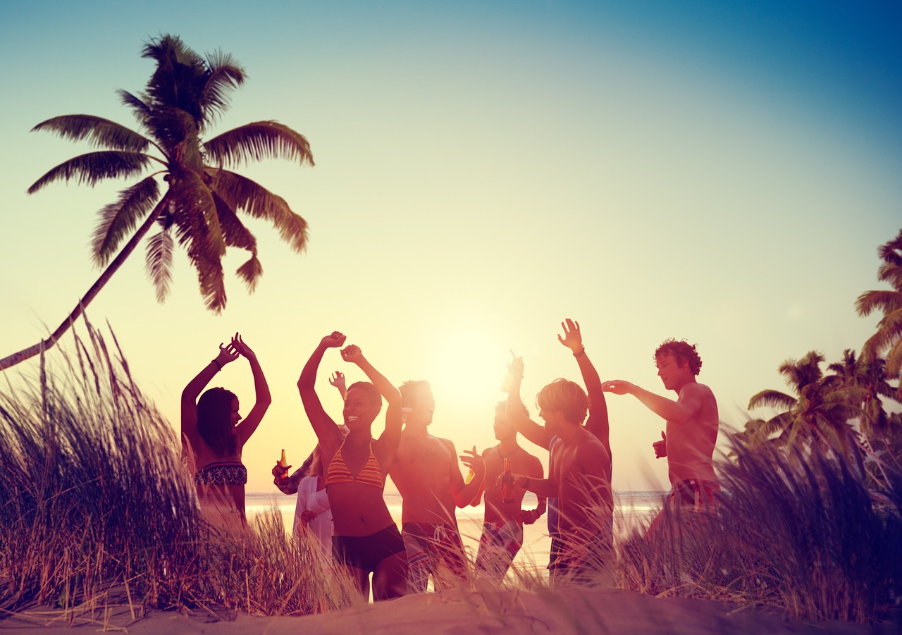 Image - beach party family