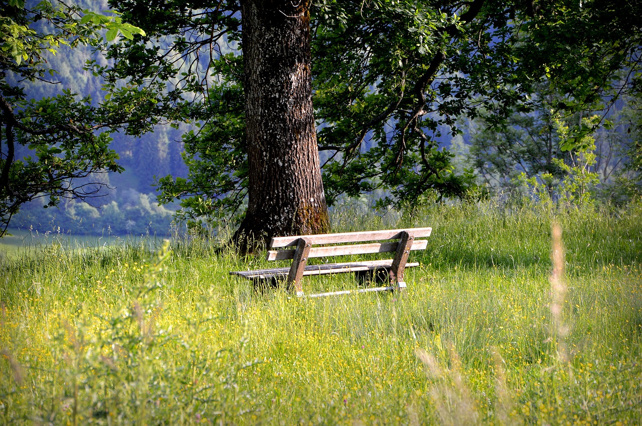 Image - bank bench seat rest nature