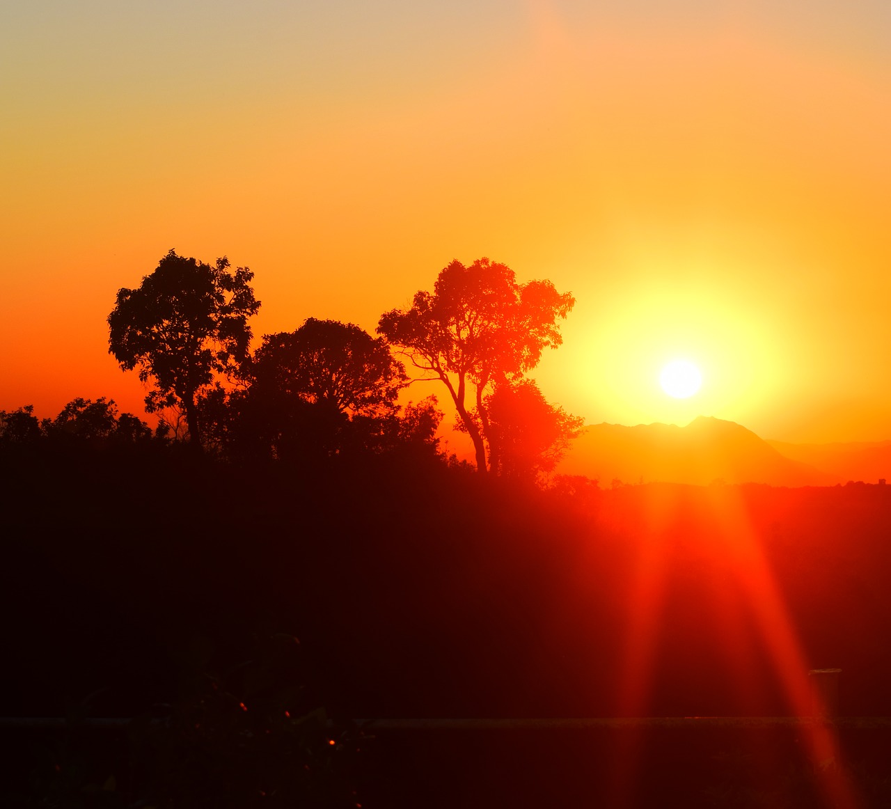 Image - sunset glow natue nature sun