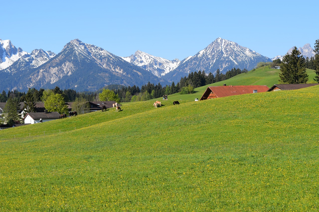 Image - germany füssen mountain landscape