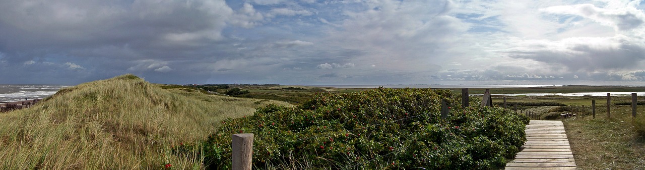 Image - wide panorama north sea coast