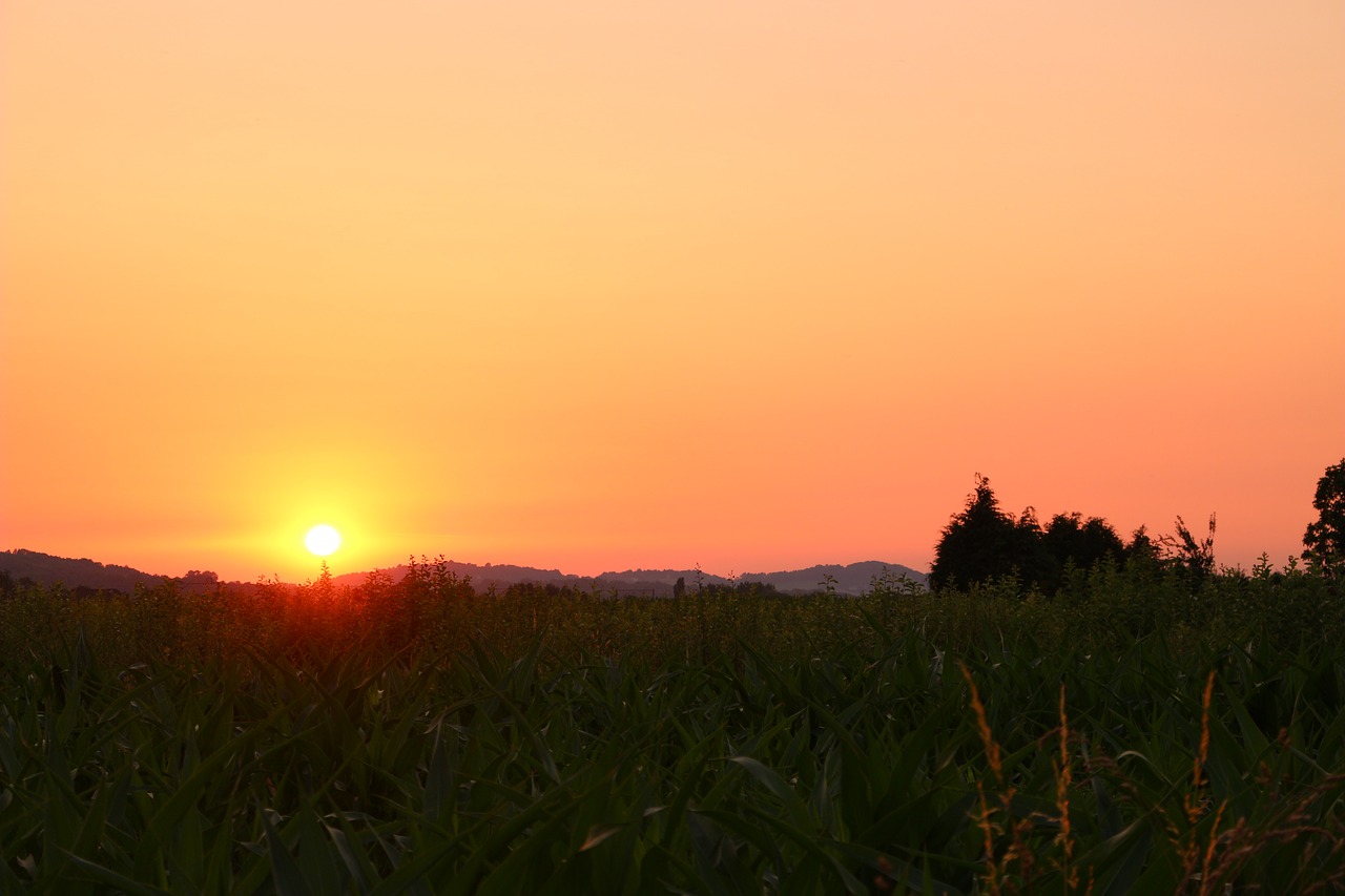 Image - fields sunset sky twilight colors