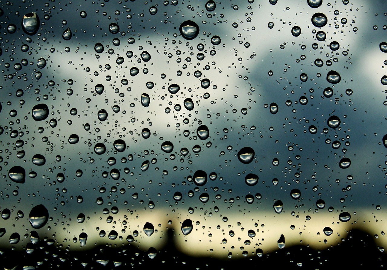Image - drops window nature