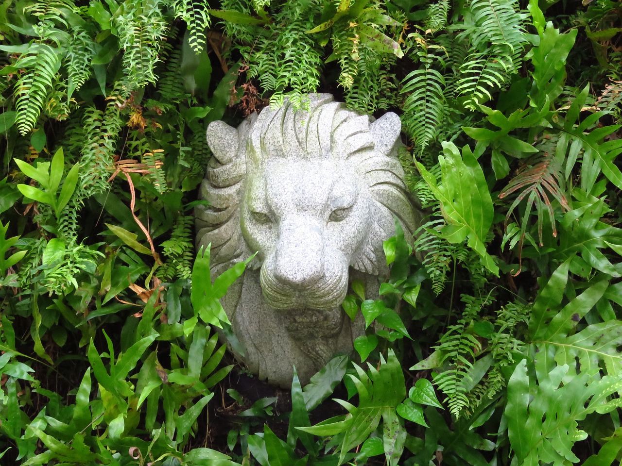 Image - idol lion head