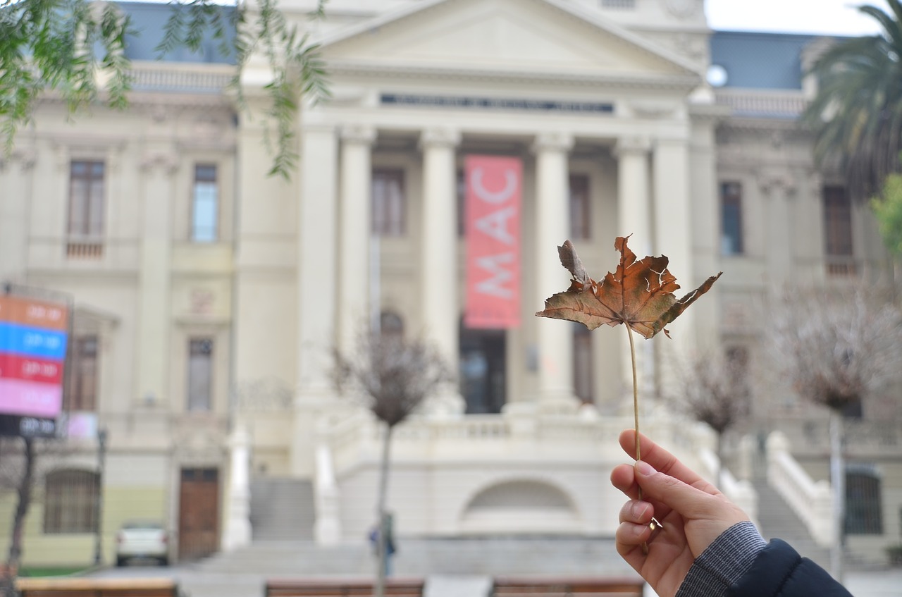 Image - building government leaf