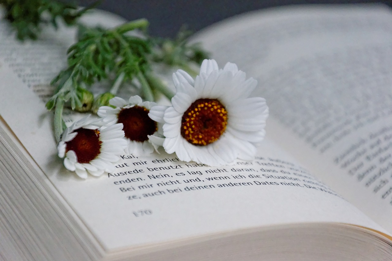 Image - book flowers read white dreams