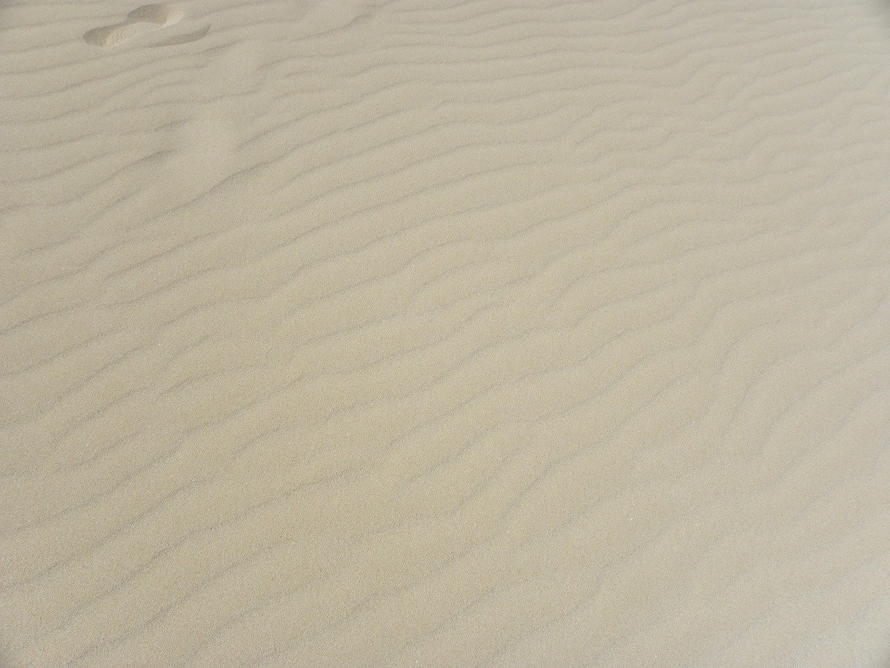 Image - background texture sand beige