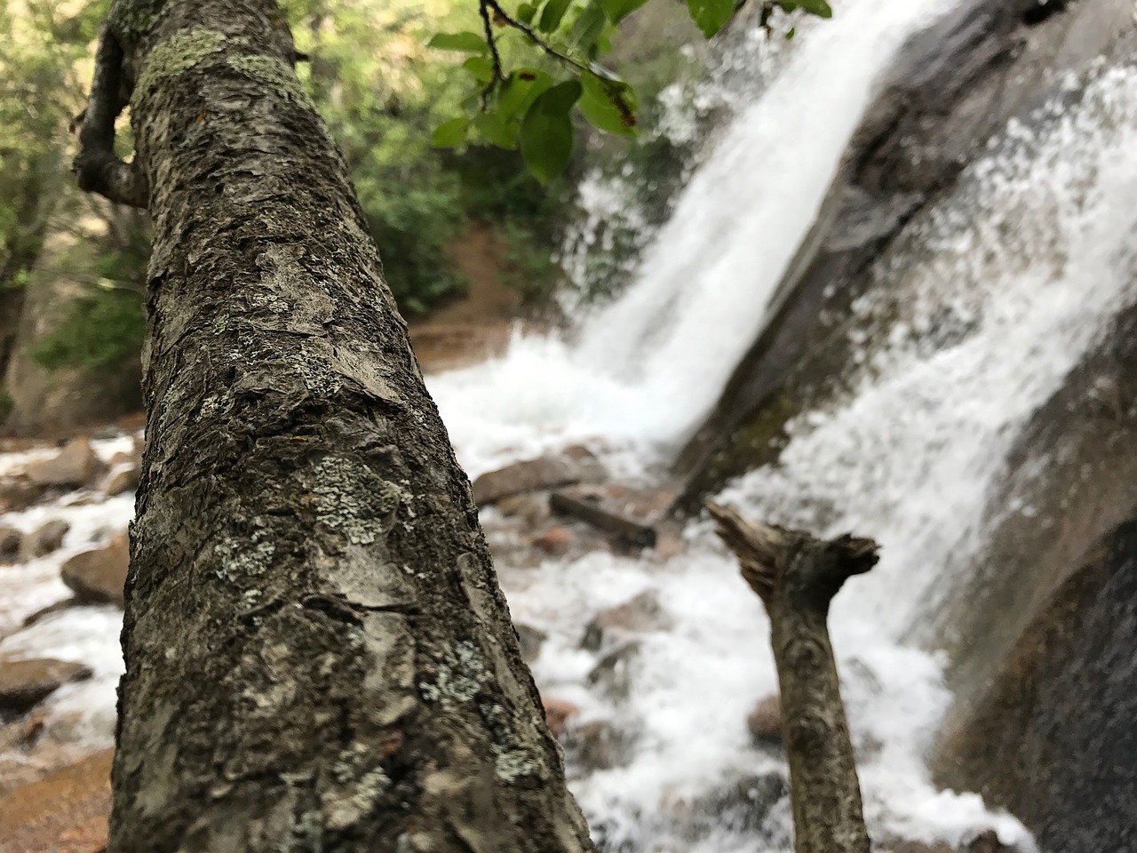 Image - river summer trail nature outdoor