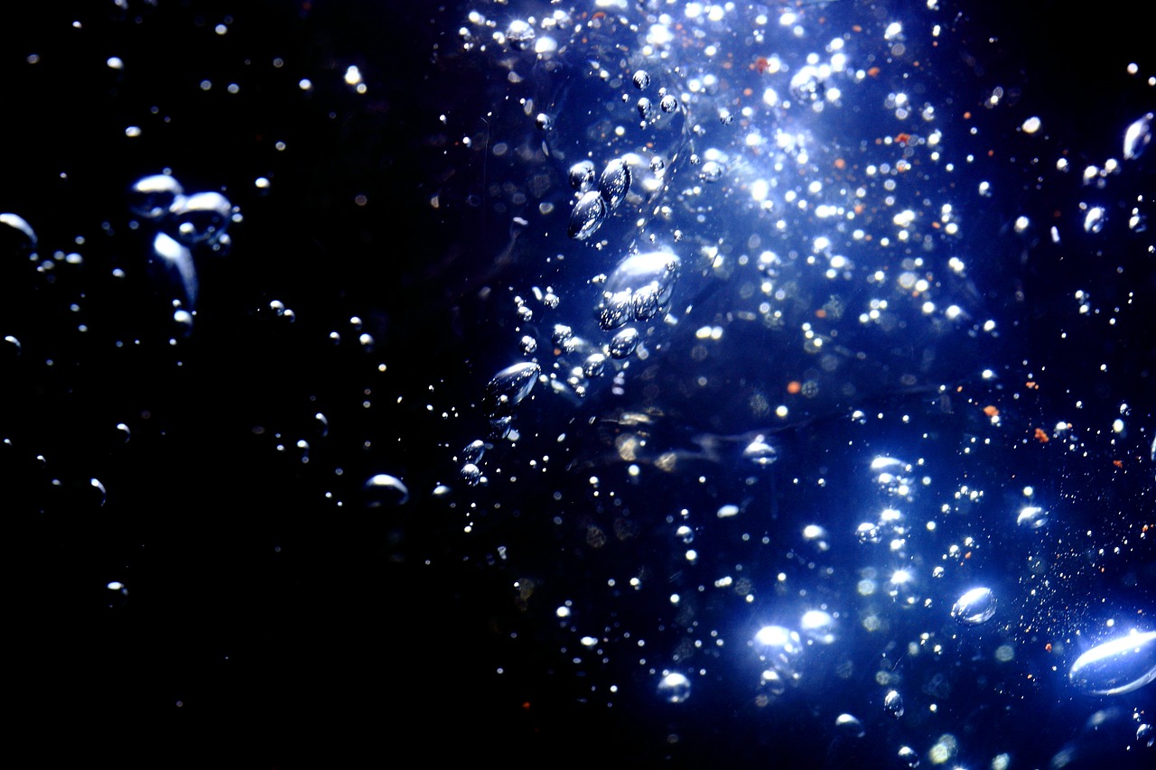 Image - abstract pattern macro nobody
