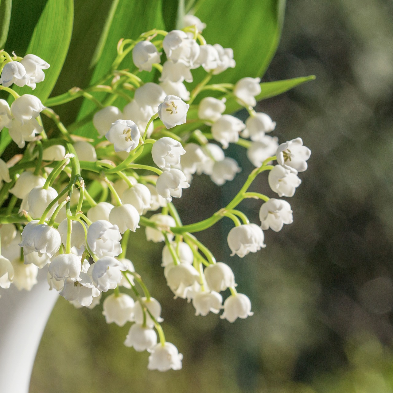 Image - lily of the valley vase bouquet