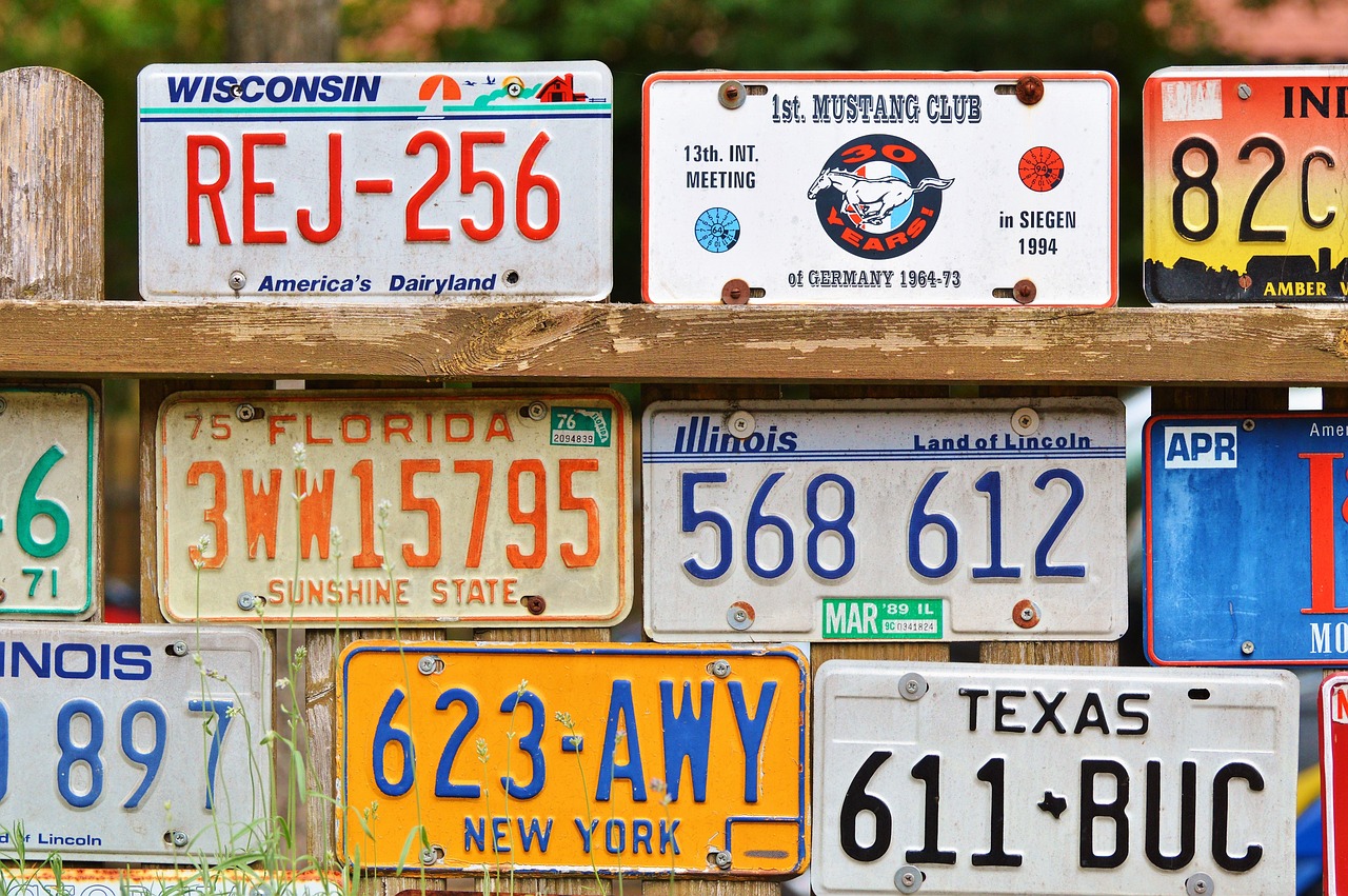 Image - license plate car shield