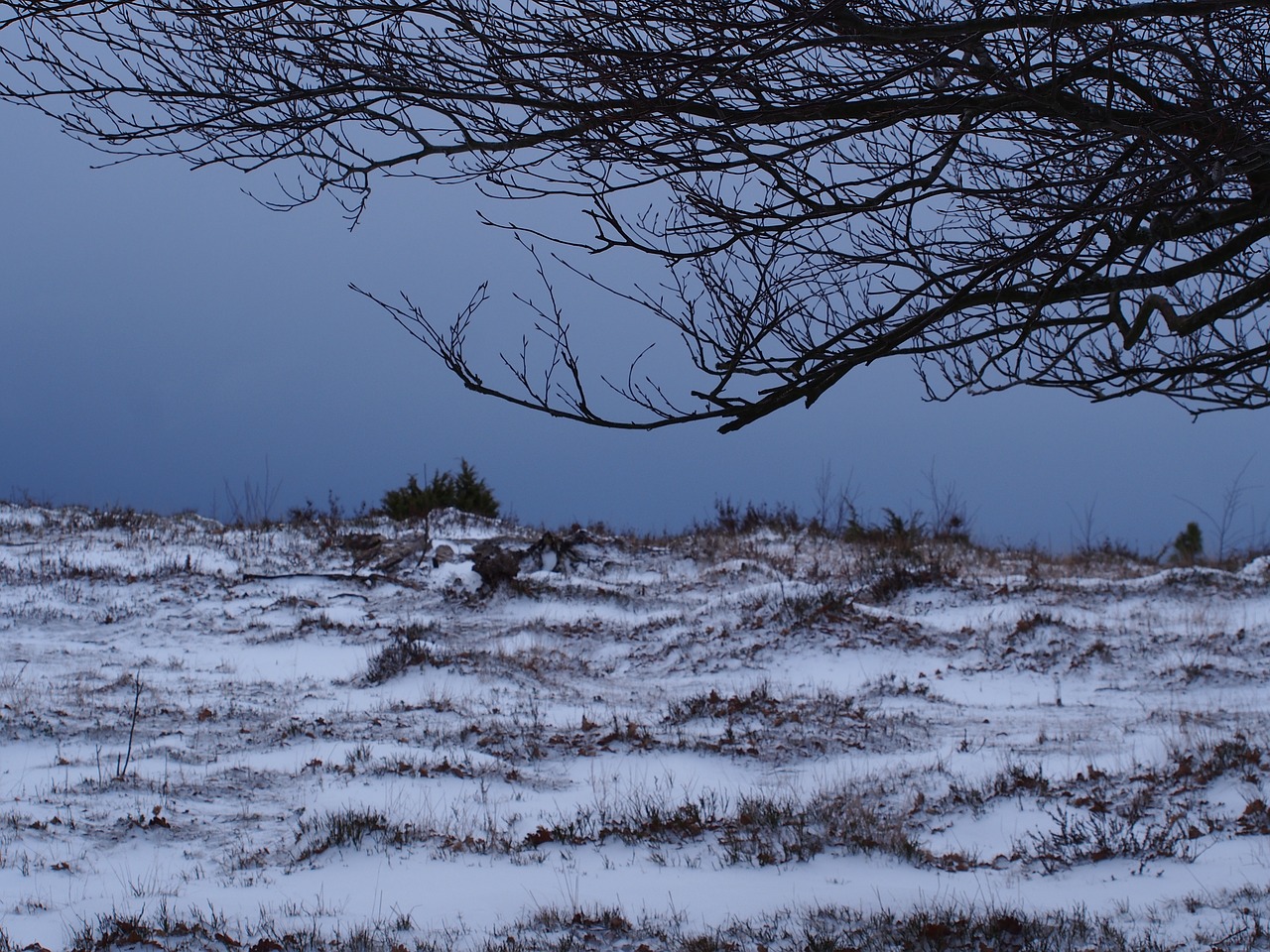 Image - snow winter nature snow landscape