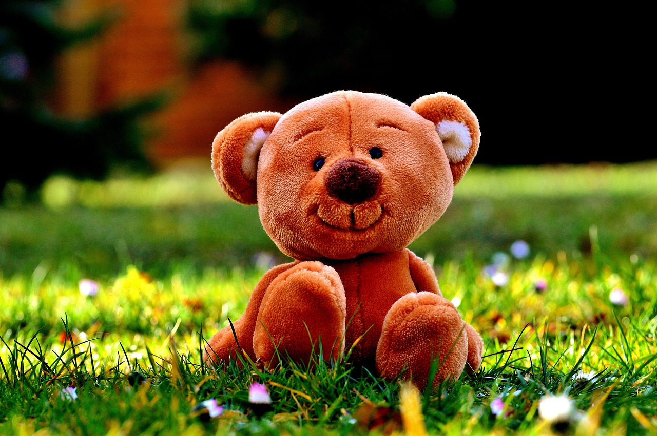 Image - teddy meadow cute teddy bear out