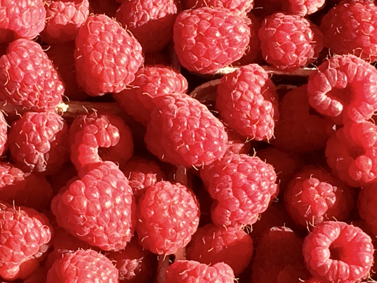 Image - raspberry fruit berries red sweet