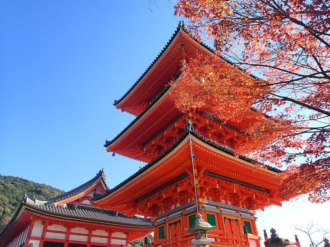 Image - autumn leaves hunting kyoto autumn